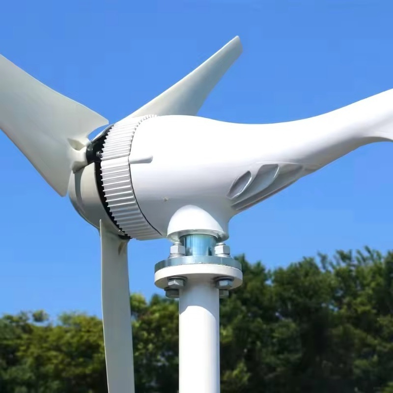 Renewable Energy Use - กังหันลมขนาดเล็กราคาประหยัด 1000w 12v 24v พลังงานทดแทน กังหันลมแนวนอน