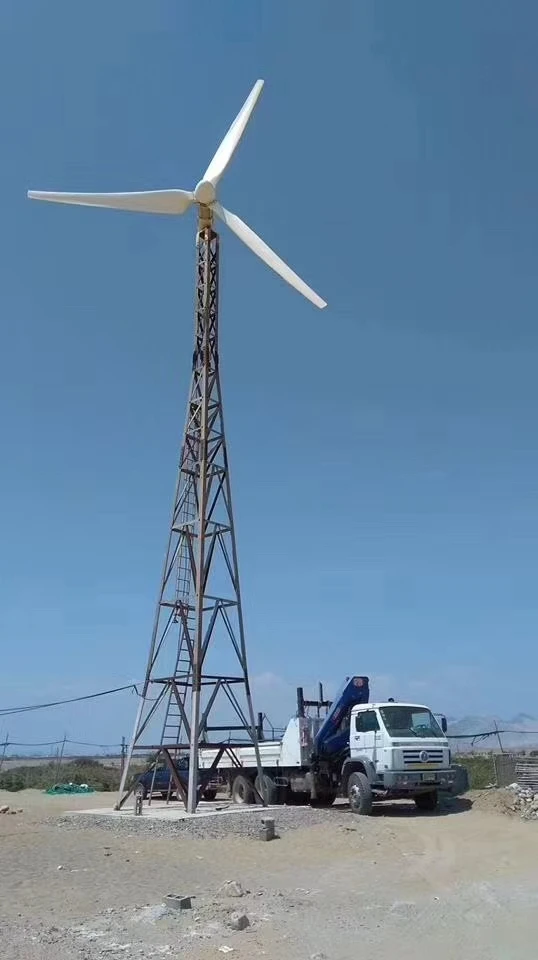 กังหันลมผลิตพลังงานทดแทน CE โป - Wind Turbine Generator บทวิจารณ์และราคา