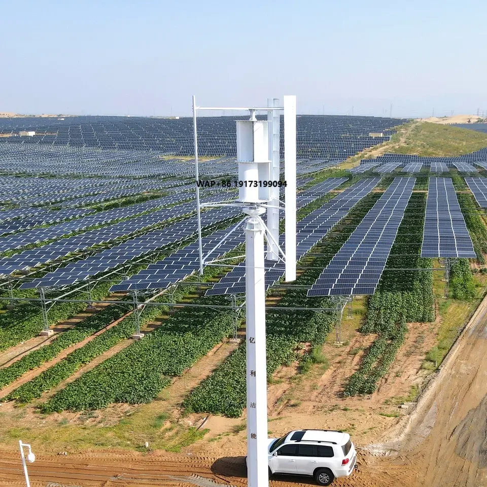 กังหันลมขนาดเล็กจากโรงงานจีน พ - Wind Turbine Generator บทวิจารณ์และราคา