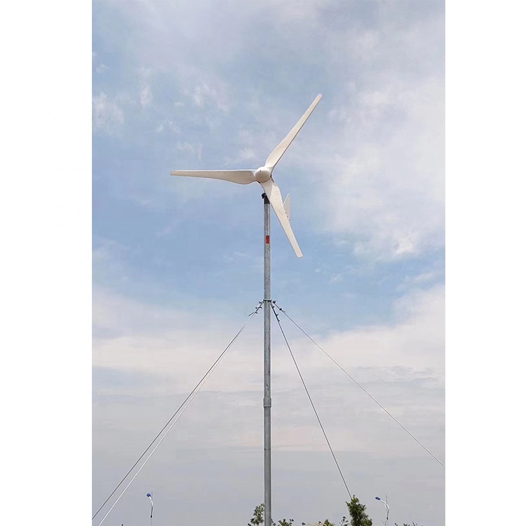 ลดราคาสุดๆ! กังหันลมขนาดเล็กปร - Wind Turbine Generator บทวิจารณ์และราคา